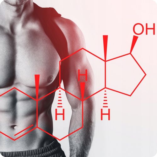 TESTOSTERON tabletki | Booster Testosteronu | Tabletki na potencje na Arena.pl