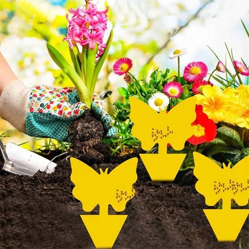 60x ŻÓŁTY LEP DO DONICZEK MOTYL na ziemiórki mszyce muszki owocówki na Arena.pl