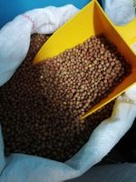 Peluszka brązowa dla gołębi, ptaków, ziarno