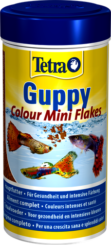tetra guppy colour 250ml na Arena.pl