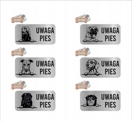 GRAWER Tabliczka nierdzewna laminat 20x10 UWAGA PIES Seter irlandzki na Arena.pl