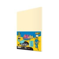 papier ksero a4 160g 50k it100 ecru 7236