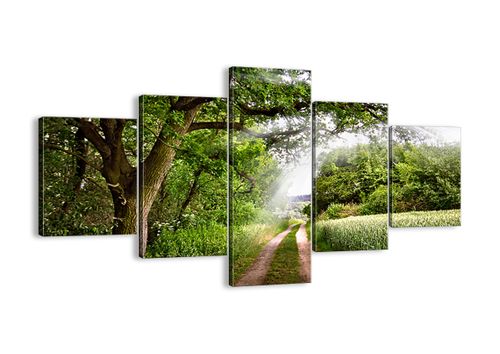 Obraz Na Płótnie - Las Pole Droga - 125X70 Cm - Ea125X70-2637 na Arena.pl