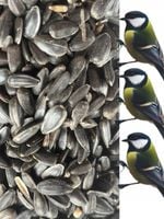 product-compare-61472072