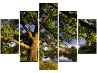 105CM 150CM OBRAZ 5 ELEM WIELKI DĄB DRUK