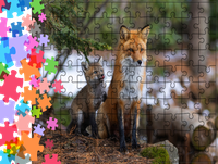 Puzzle tradycyjne Zwierzęta - Lis