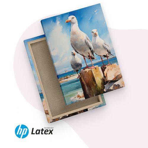 Obraz Na Płótnie Abstrakcyjne Mewy Na Tle Morza 40cm x 50cm na Arena.pl