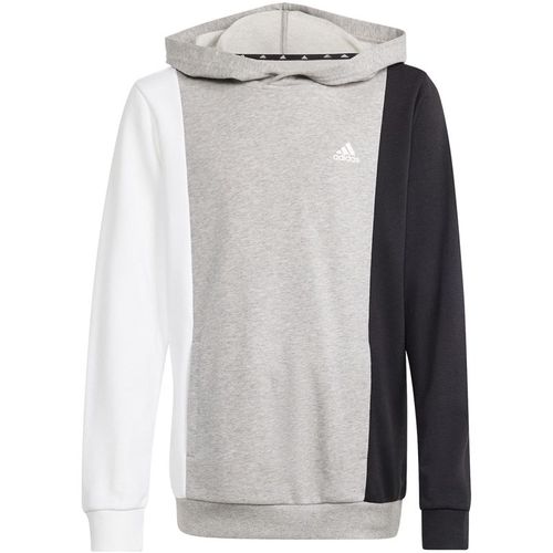 Bluza adidas CB FT HD Jr IP0386 152cm na Arena.pl