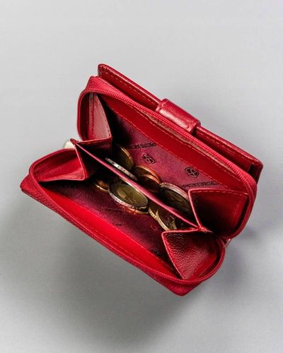 portfel damski na zatrzask i suwak - peterson na Arena.pl