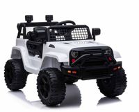 NAJNOWSZY DZIP NA AKUMULATOR, PILOT, RADIO FM/BDM0922