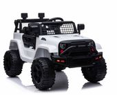 NAJNOWSZY DZIP NA AKUMULATOR, PILOT, RADIO FM/BDM0922