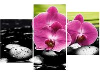 60 90CM OBRAZ 3 ELEM STORCZYKI KAMIENIACH ŚCIENNY DRUK PŁÓTNO