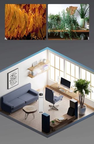 NAWILŻACZ POWIETRZA ULTRADŹWIĘKOWY DUŻY JONIZATOR 2w1 DYFUZOR Z PILOTEM 8L na Arena.pl