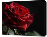 product-compare-59493368
