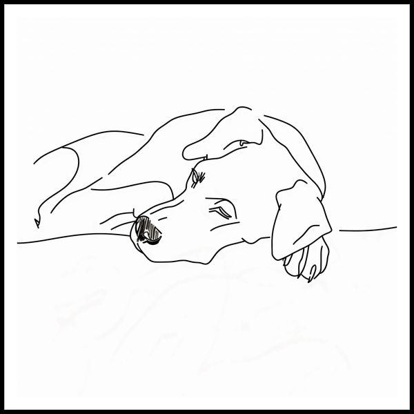 Plakat 90x90cm Wypoczynek Psiaka zdjęcie 3