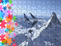 Puzzle tradycyjne Samoloty