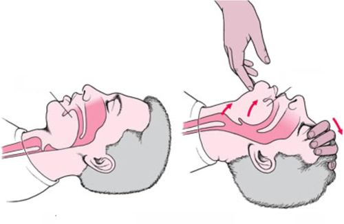 Model dróg oddechowych 2 szt.  moduł głowy do ćwiczeń RKO XFT-E0002 na Arena.pl