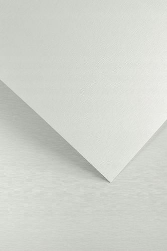 karton ozdobny kora biały a4 230g/m2 (20) 9319 na Arena.pl