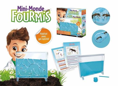 Mini FORMIKARIUM FS4206 na Arena.pl
