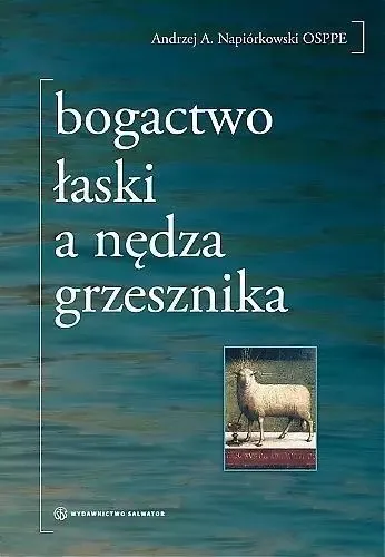 Bogactwo łaski a nędza grzesznika zdjęcie 1