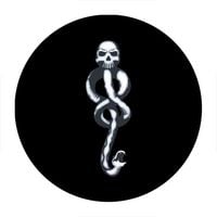 Przypinka Harry Potter