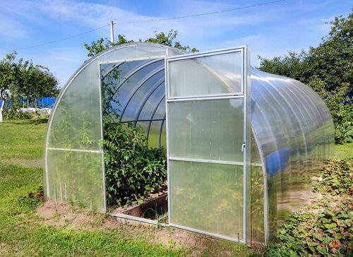 Szklarnia STANDARD Plus 20x20 3х12m 4mm na Arena.pl