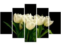 70 100CM OBRAZ 5 ELEM BIAŁE TULIPANY MARK FREETH DRUK PŁÓTNO