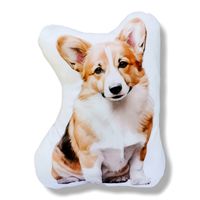 Poduszka piesek przytulanka maskotka z psem pluszowy pies corgi
