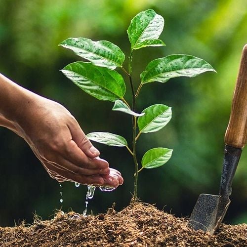 AGROŻEL Hydrożel Ogrodniczy do Roślin 2 Kg na Arena.pl