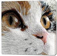 product-compare-59510266