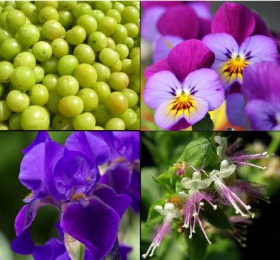 Tesori D'oriente Płyn Do Kąpieli Ayurveda 500 Ml na Arena.pl