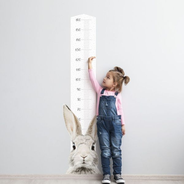 Naklejka Miarka Wzrostu Stefan DK348 zdjęcie 1