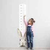 Naklejka Miarka Wzrostu Stefan