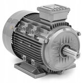 Silnik elektryczny asynchroniczny trójfazowy 2950 obr./min 230/400 V 5.5 kW