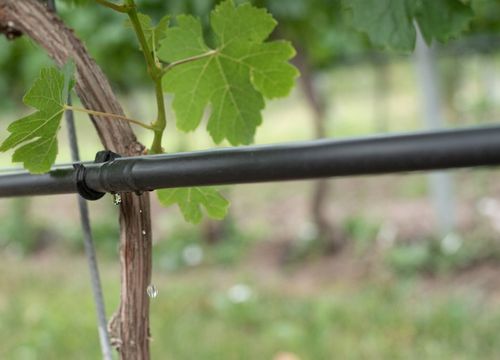 10x KOREK LINIA KROPLUJĄCA NAWODNIENIE KROPELKOWE na Arena.pl