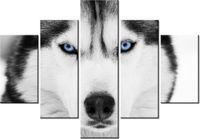 70 100CM OBRAZ 5 ELEM WŁADCZE SPOJRZENIE DRUK PŁÓTNO