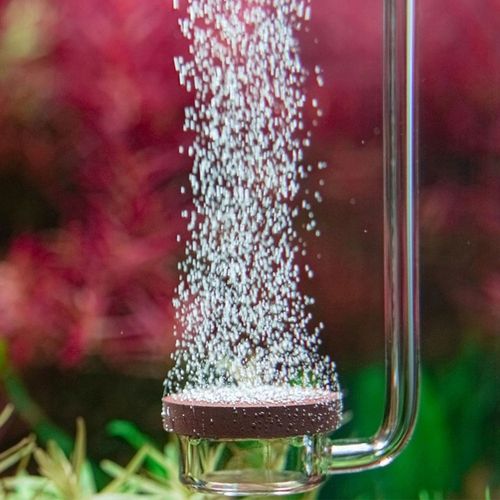 DYFUZOR CERAMICZNY CO2 AKWARIUM MIKRO BĄBELKI na Arena.pl