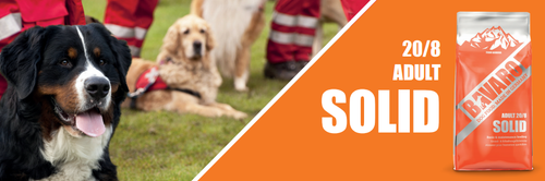 josera bavaro solid 18kg na Arena.pl