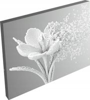 OBRAZ na płótnie dmuchawiec KWIATY do salon 120x80