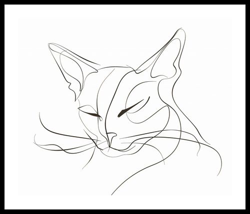 Plakat 60x50cm Linijny Kot na Arena.pl