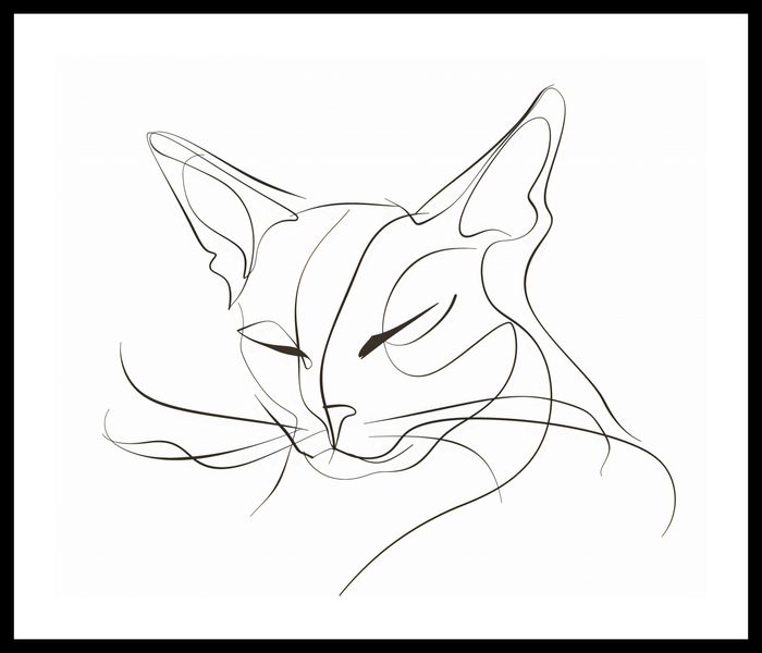 Plakat 60x50cm Linijny Kot zdjęcie 3