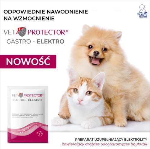 Vet Protector Gastro – Elektro saszetka 3g na Arena.pl