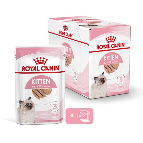 royal canin kitten pasztet 12x85g na Arena.pl