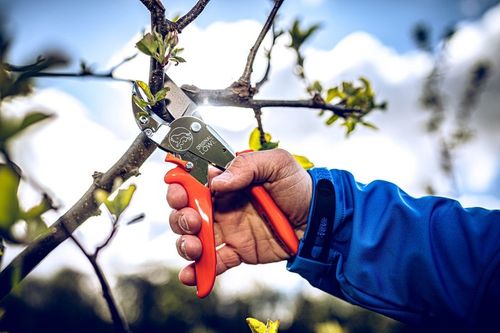 SEKATOR RĘCZNY LOWE 10.107 do GRUBYCH GAŁĘZI OGRODOWY KOWADEŁKOWY 30mm na Arena.pl
