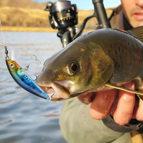 ZESTAW Gumek na SZCZUPAKA PRZYNĘT 301szt SKRZYNKA na Arena.pl