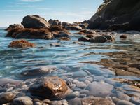 Plakat 80x60cm Harmonia Przybrzeżna