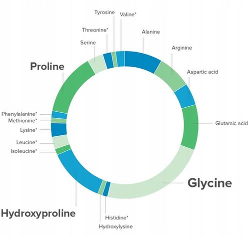 KOLAGEN NA KOLANA NA STAWY W TABLETKACH typ 1 i 3 - bóle stawów Collagen na Arena.pl