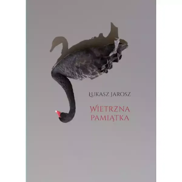Wietrzna pamiątka zdjęcie 1