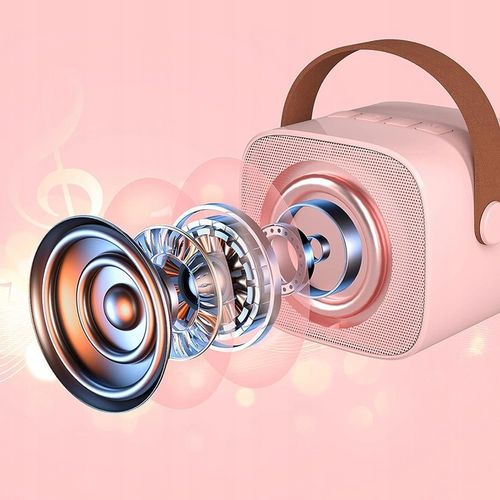 PRZENOŚNY ZESTAW DO KARAOKE BLUETOOTH 5.0 2000mAh na Arena.pl