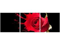 product-compare-58646391